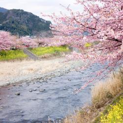 Iwakura 2 hotels