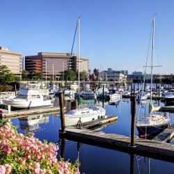 Stamford 5 cheap hotels