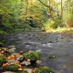 Goldstream Station 2 hotely