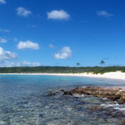 Island Harbour