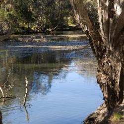 Benalla 25 hotels