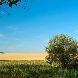 Kazimierzówka ホテル1軒