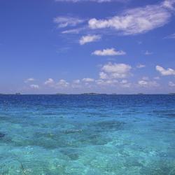 Papara 9 beach hotels