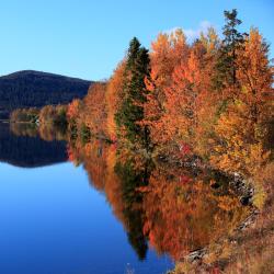 Holmsund 3 hotels