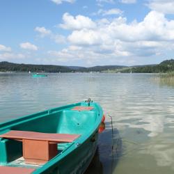 Champagney Svečius su gyvūnais priimantys viešbučiai (4)