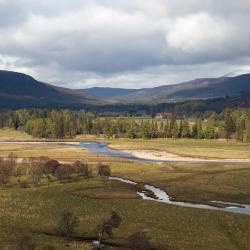 Grantown on Spey 3 glamping sites