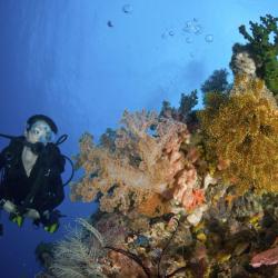 Dumaguete 7 resorts