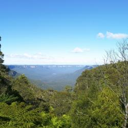 Blackheath 3 cabins