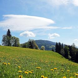 Fladnitz an der Teichalm 3 spa hotels