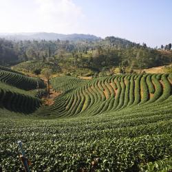 Lugu Lake 56 hotels with parking