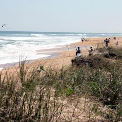 Jacksonville Beach 203 hotels