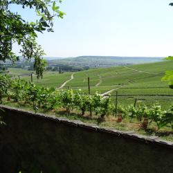 Hautvillers 29 alojamientos con cocina