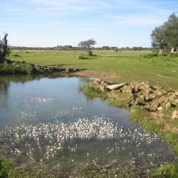 Vila Nova da Baronia 3 rodinn&eacute; hotely