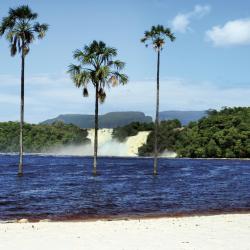Canaima 1 hotel