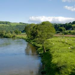 Llandogo 1 hotel