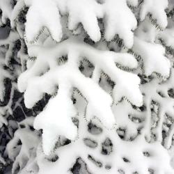 Klingenthal 3 homestays