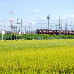 Takatsuki 8 hotels with parking