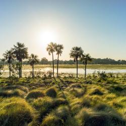 Acacías 44 pet-friendly hotels