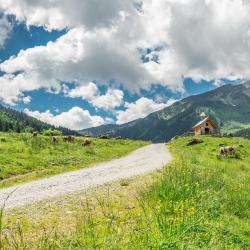 Vildšenau 36 hotela sa parkingom