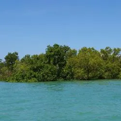 Badian 5 hostels
