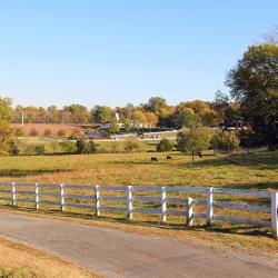 Barboursville 5 hotels