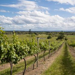 Red Hill 18 ville