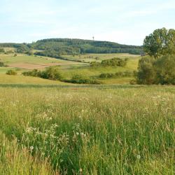 Bad Breisig 3 bed & breakfast
