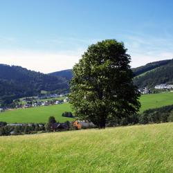 Tecklenburg 45 hotelů