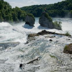 Neuhausen am Rheinfall 4 hoteles