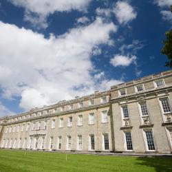 Petworth 7 B&Bs