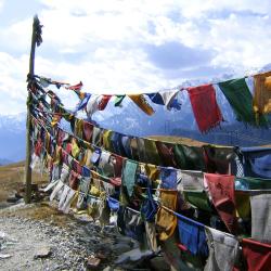Dalhousie 4 hostels