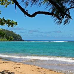 Tanna Island 6 hotels