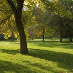 Neuilly-Plaisance 10 hoteles