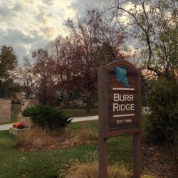 Burr Ridge 5 ξενοδοχεία