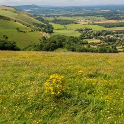 Pulborough 17 family hotels