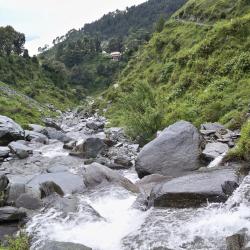 McLeod Ganj 22 hostel