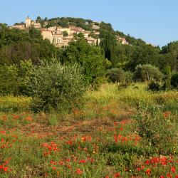 Moissac 6 guest houses