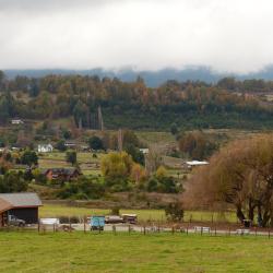 Futrono 22 of the cottages