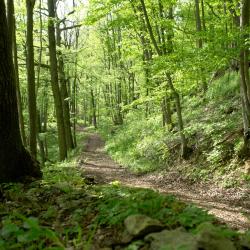 Bad Kissingen 4 aparthotely
