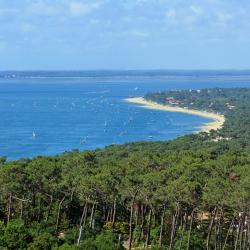 Cap-Ferret 4 B&Bs