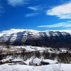 Al Arz 3 cabins