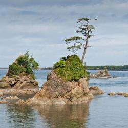 Tillamook 23 pet-friendly hotels