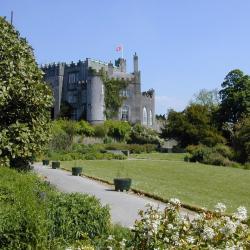 Birr 9 family hotels