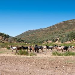 Almad&eacute;n 6 acomoda&ccedil;&otilde;es