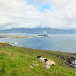 Achill Sound 4 cottages