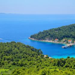 Trstenik 3 guest houses