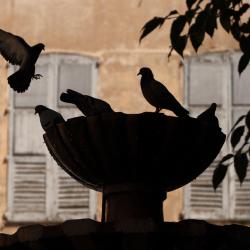 Peymeinade 3 hoteles de 4 estrellas