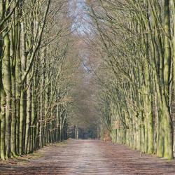 Bilthoven 3 B&Bs