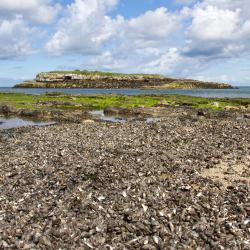 Moelfre 3 beach hotels