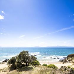Orford 5 pet-friendly hotels